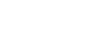 MANAGEMENT TEAM